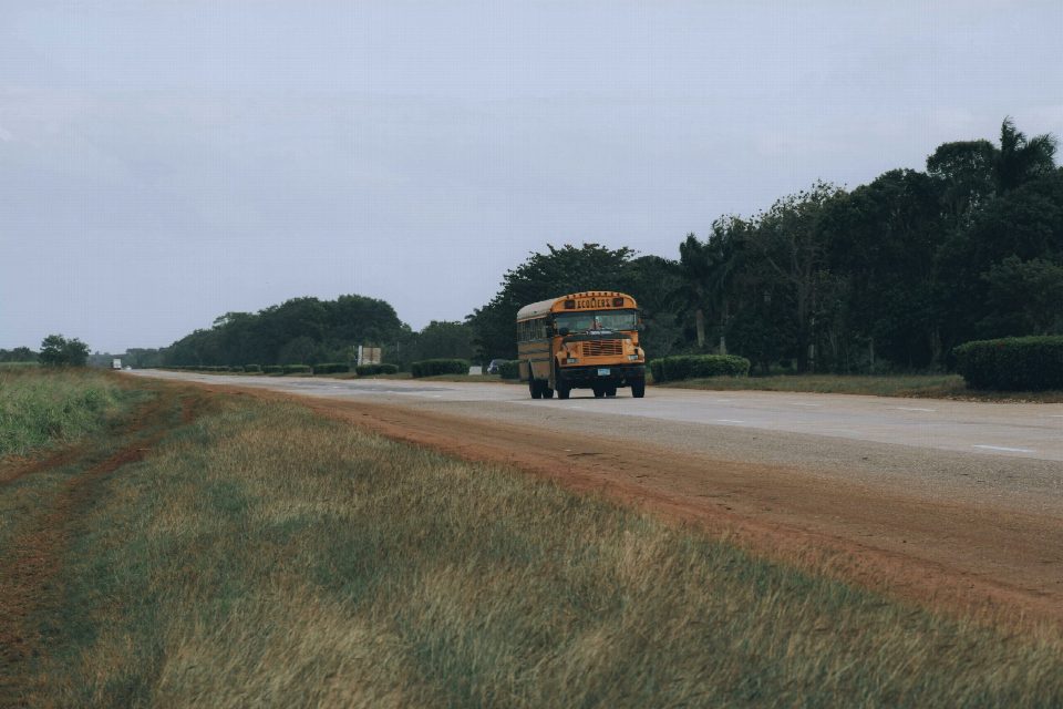 How Long Is A School Bus? Discover Surprising Facts Today!