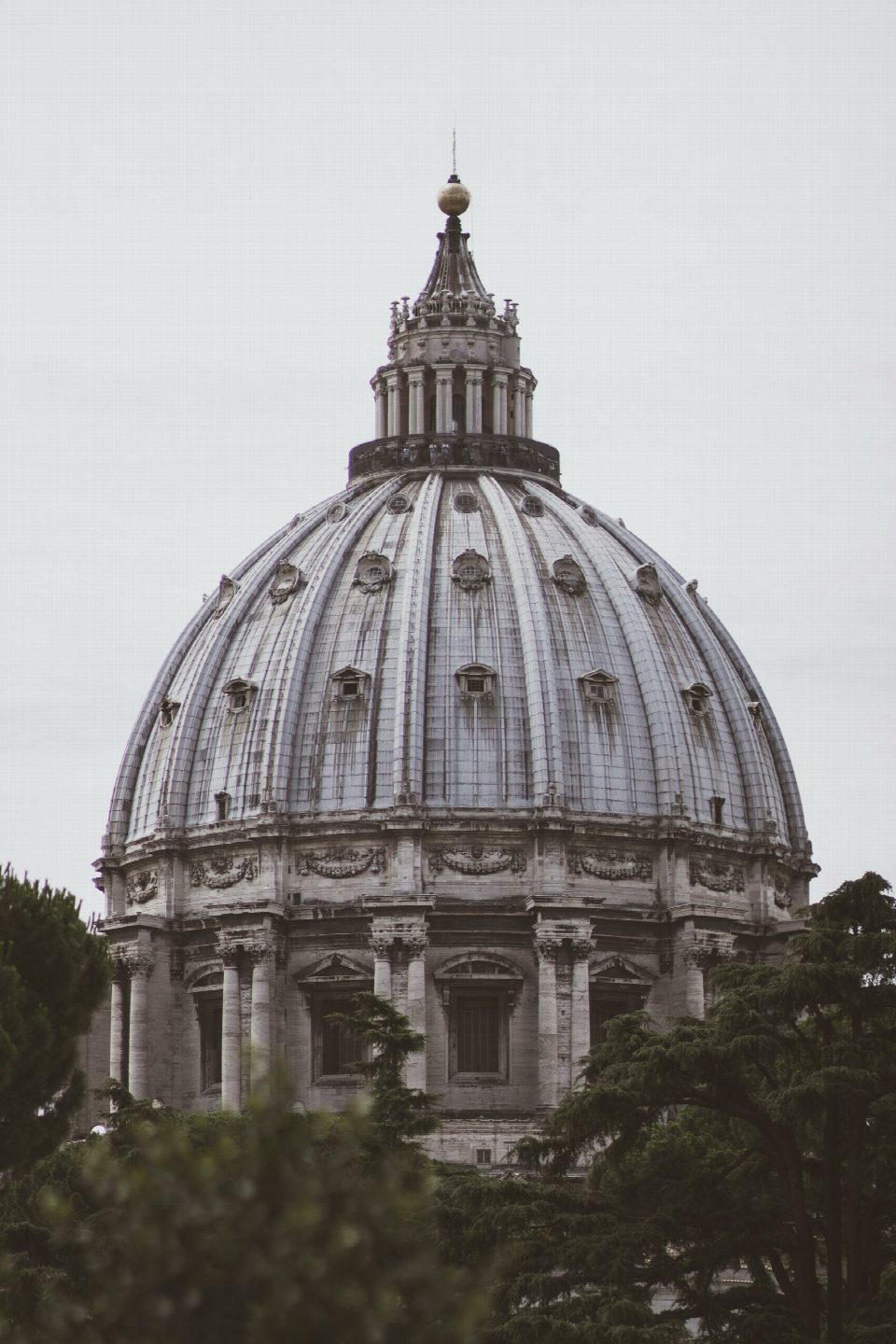 Catholic High Schools Near Me: Discover Top Choices for Excellence