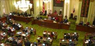 news-14082024-163041