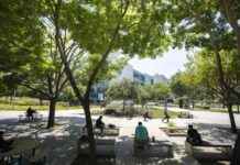 Benefits of Enrolling in Summer School for College Students news-14082024-164934