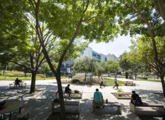 Benefits of Enrolling in Summer School for College Students news-14082024-164934