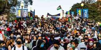 news-15082024-195857