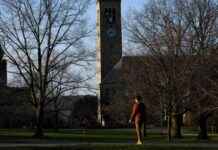 Opportunities for College Presidents: Many Openings Available news-17082024-141057