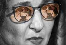 Shafik’s Resignation: Reasons and Impact news-18082024-123936