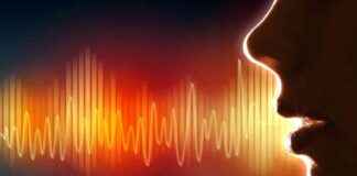 news-20082024-130833