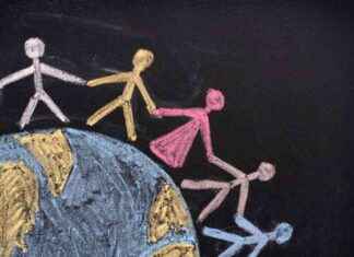 Library Project Inspires Students to Award Peace Prize news-27082024-225405