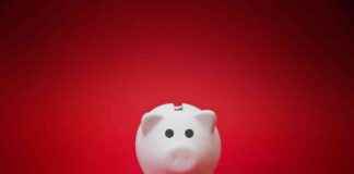 news-28082024-105523