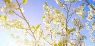 news-29082024-230459