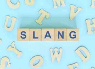 Utilizing Slang for Successful Online Education news-16092024-051934