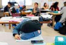 Navigating the Long Road to Pandemic Recovery in Schools: National Report Perspective news-17092024-135924