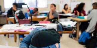 news-17092024-135924