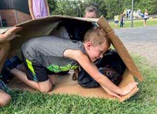 The Benefits of Free-Range Parenting: Insights from Lenore Skenazy news-10102024-181811