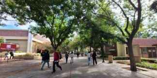 news-17102024-142810