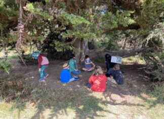 The Importance of Outdoor Learning for Preschoolers: Benefits of Nature Exploration news-18102024-143911