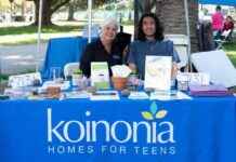 Navigating the Insurance Crisis in Foster Care: Vital Information for Schools news-21102024-145913