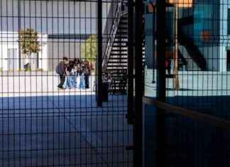 Addressing Youth Homicides: Finding Solutions Beyond School Grounds news-28102024-221759