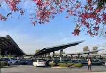 The Hidden Costs of College Commuting: What You Need to Know news-29102024-223141