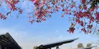 news-29102024-223141