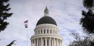 news-21112024-182319