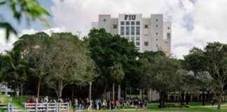 news-21112024-182339