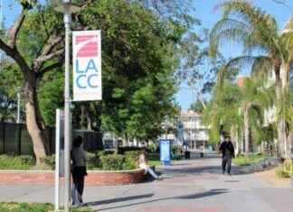 Community College Bachelor’s Degree Programs: Debunking Myths and Misconceptions community-college-bachelors-degree-programs-debunking-myths-and-misconceptions