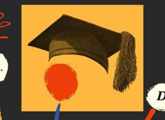 Guiding Students Towards College Success: Expert Opinions and Advice news-02122024-151225