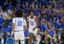 Supporting Student-Athletes: Enhancing the College Experience supporting-student-athletes-enhancing-the-college-experience