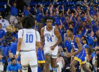 Supporting Student-Athletes: Enhancing the College Experience supporting-student-athletes-enhancing-the-college-experience