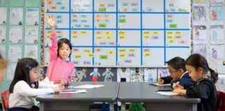 teaching-lessons-outside-phd-school-nsights-from-teachers-and-a-student