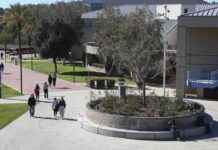 Challenges in Expanding Community College Bachelor’s Degrees in California challenges-in-expanding-community-college-bachelors-degrees-in-california