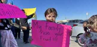 fears-rise-in-schools-as-border-patrol-raids-mpact-students