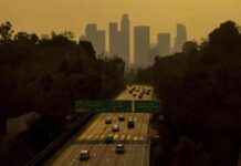 Preparing for Wildfires: Los Angeles Schools Close and Brace for Fire, Wind, and Ash preparing-for-wildfires-los-angeles-schools-close-and-brace-for-fire-wind-and-ash
