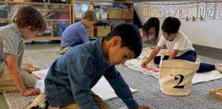 building-strong-foundation-for-math-success-key-elements-for-students