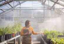 California Climate Initiative: Opportunities for Community College Students california-climate-nitiative-opportunities-for-community-college-students