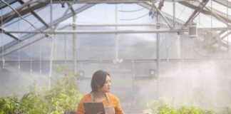 california-climate-nitiative-opportunities-for-community-college-students