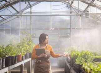 California Climate Initiative: Opportunities for Community College Students california-climate-nitiative-opportunities-for-community-college-students