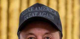 doge-cryptocurrency-mpact-on-education-studies