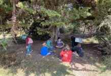 Benefits of Outdoor Learning for Preschool Children benefits-of-outdoor-learning-for-preschool-children