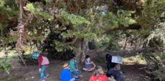 benefits-of-outdoor-learning-for-preschool-children