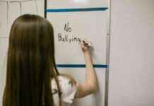 Identifying Vulnerable Students: Digging Deeper into Bullying Trends dentifying-vulnerable-students-digging-deeper-into-bullying-trends