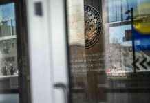 Education Department Budget Halved: Impact and Losses Explained education-department-budget-halved-mpact-and-losses-explained