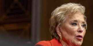 education-department-statistics-arm-reduced-to-3-staff-chaos-ensues