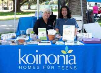 Liability Insurance Crisis in Foster Care: Key Considerations liability-nsurance-crisis-in-foster-care-key-considerations