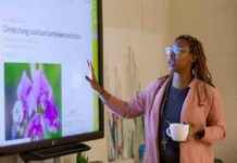 States and Teachers Lead Climate Change Education Revival states-and-teachers-lead-climate-change-education-revival