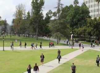 California’s Education System: Coordinating for Future Success californias-education-system-coordinating-for-future-success