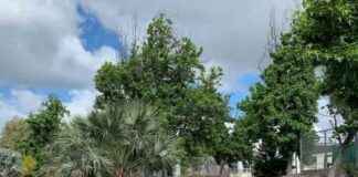 court-blocks-temecula-valley-unified-school-districts-crt-ban