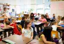 Impact of Trump’s Budget Cuts on Education Programs mpact-of-trumps-budget-cuts-on-education-programs