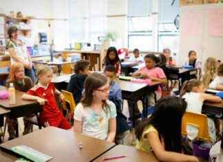 Impact of Trump’s Budget Cuts on Education Programs mpact-of-trumps-budget-cuts-on-education-programs