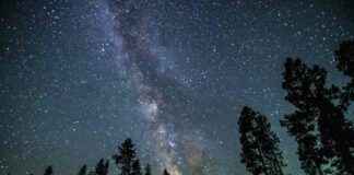 the-benefits-of-wonder-how-wondering-enhances-childrens-learning