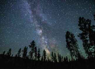 The Benefits of Wonder: How Wondering Enhances Children’s Learning the-benefits-of-wonder-how-wondering-enhances-childrens-learning